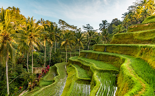 537x335-bali-holiday-packages-brunei-itinerary-2 Bali Holiday packages - Itinerary image Day 2