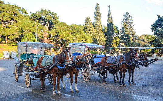 537x335-istanbul-tour-packages-itinerary-3 Istanbul tour packages - Itinerary day 3