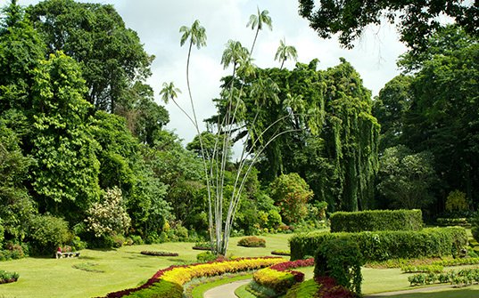 537x335-Itinerary-Images-6-Nights-in-Sri-Lanka3 537x335-Itinerary-Images-6-Nights-in-Sri-Lanka3