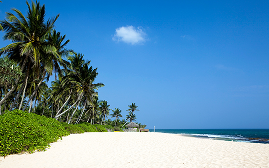 537x335-Itinerary-Images-6-Nights-in-Sri-Lanka4 537x335-Itinerary-Images-6-Nights-in-Sri-Lanka4