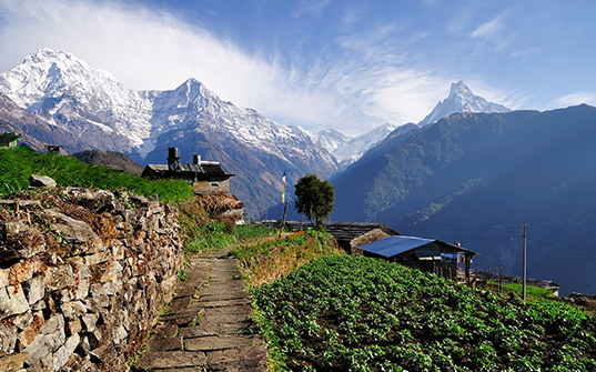 537x335-Itinerary-Images-7-Nights-in-Nepal3 537x335-Itinerary-Images-7-Nights-in-Nepal3