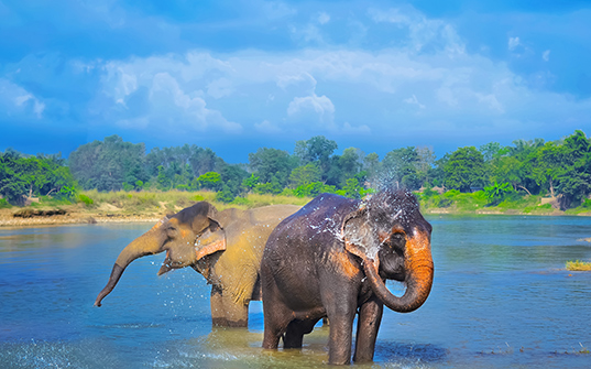 537x335-Itinerary-Images-7-Nights-in-Nepal6 537x335-Itinerary-Images-7-Nights-in-Nepal6