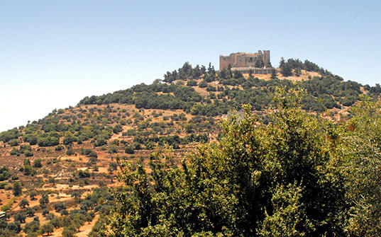537x335-Itinerary-Images-Adventure-in-Jordan2 537x335-Itinerary-Images-Adventure-in-Jordan2