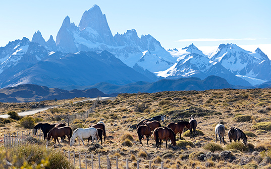 537x335-Itinerary-Images-Argentina6 537x335-Itinerary-Images-Argentina6