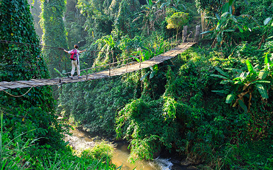 537x335-Itinerary-Images-Hiking-And-More-In-Thailand5 537x335-Itinerary-Images-Hiking-And-More-In-Thailand5
