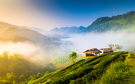 537x335-Itinerary-Images-Hiking-And-More-In-Thailand6 537x335-Itinerary-Images-Hiking-And-More-In-Thailand6