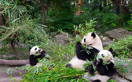 537x335-Itinerary-Images-Hong-Kong4 537x335-Itinerary-Images-Hong-Kong4