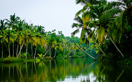 537x335-Itinerary-Images-Kerala1 537x335-Itinerary-Images-Kerala1