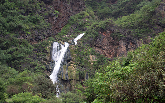 537x335-Itinerary-Images-Salalah1 537x335-Itinerary-Images-Salalah1