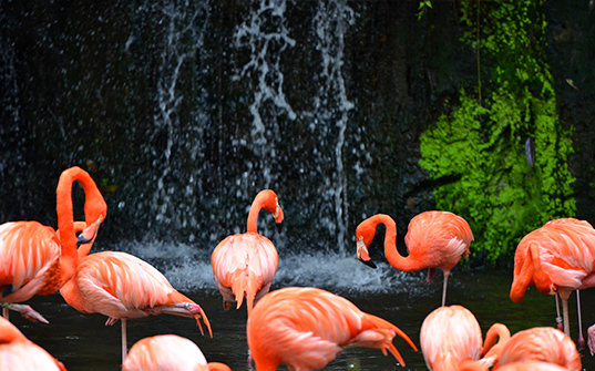 537x335-Itinerary-Images-Singapore2 537x335-Itinerary-Images-Singapore2