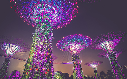 537x335-Itinerary-Images-Singapore3 537x335-Itinerary-Images-Singapore3