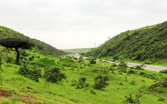537x335-salalah-holiday-packages-itinerary-1 Salalah holiday packages - Itinerary day 1