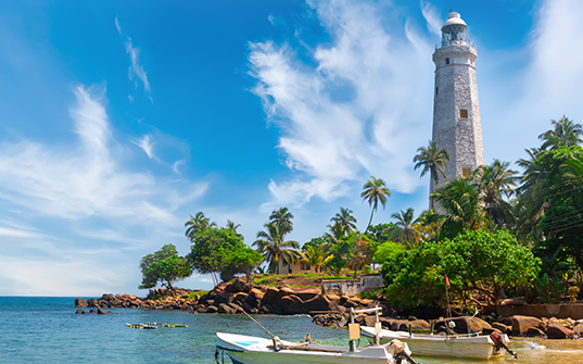 Sri Lanka tour packages - Itinerary day 1 Sri Lanka tour packages - Itinerary day 1 Image
