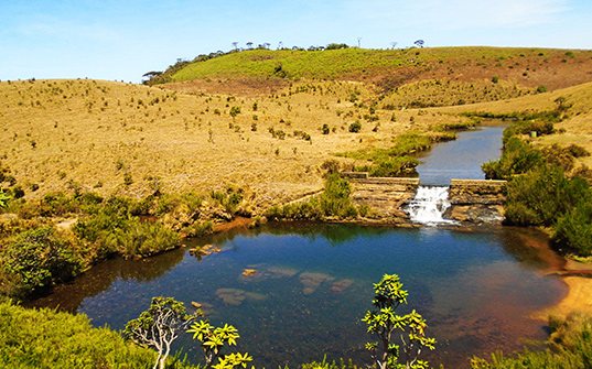 Sri Lanka tour packages - Itinerary day 7 Sri Lanka tour packages - Itinerary day 7 Image
